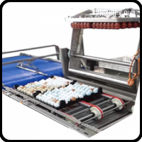 
	Egg Candling at 18 days
	Egg Tray Refilling
	In Ovo Injection
	Egg Transfer
	Egg Calibration
	Egg Tray Stacking &amp; Destacking
	Data Collection, Egg Tracking &amp; Analysis

