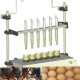 In Ovo Automated Vaccination