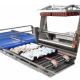 Automated Candling and Transfer Line