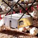 Ver productoChickenBoy