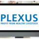 Ver productoPLEXUS