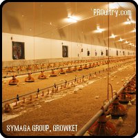 Growket diseña y fabrica naves avícolas&nbsp;de rápido montaje.

Ofrecemos el proyecto completo desde la construcción de la nave hasta el equipamiento interior y la climatización.
Las dimensiones d...