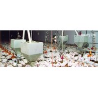 Sistemas de reparto
Growket tiene equipos de reparto de pienso instalados por todo el mundo, disponiendo de todos los componentes para completar la instalación.
Según tipo de nave y de producción av...