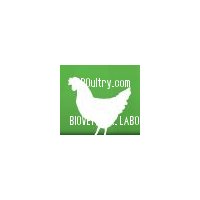 ALQUERFEED ACIDSTOP